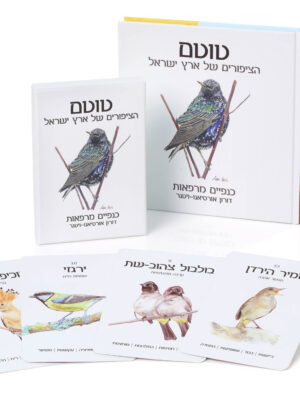 ספר וערכת קלפים – טוטם הציפורים של ארץ ישראל