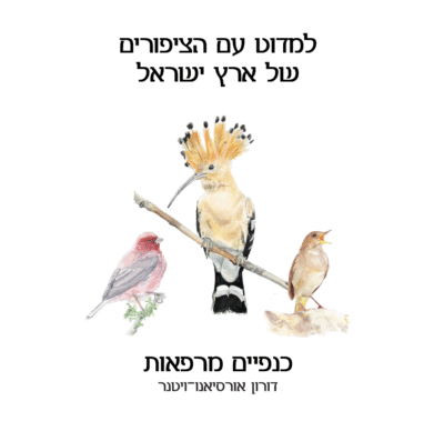 ⁦ספר וערכת קלפים – טוטם הציפורים של ארץ ישראל⁩ – תמונה ⁦4⁩