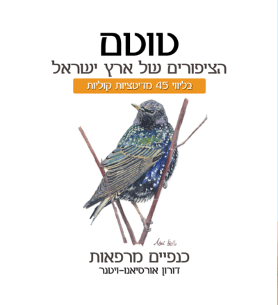 ⁦ספר וערכת קלפים – טוטם הציפורים של ארץ ישראל⁩ – תמונה ⁦5⁩
