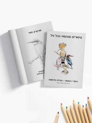 חוברת צביעה – ציפורים נצבעות בכל גיל